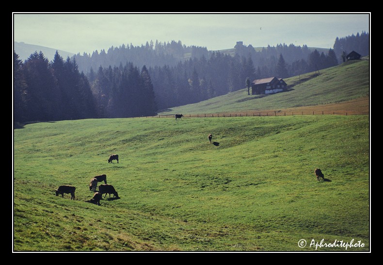 28 Typische Landschaft